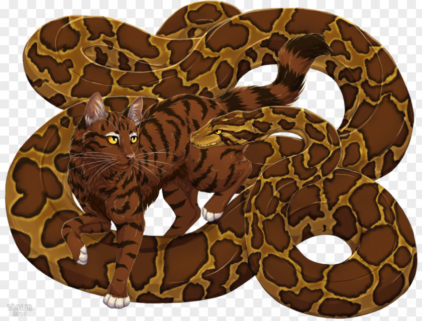 Cat Boa Constrictor Rattlesnake Kingsnakes Reptile PNG