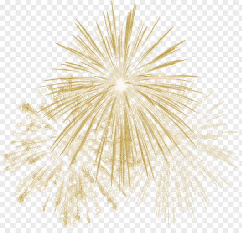 Fireworks Vector Graphics Image Transparency PNG