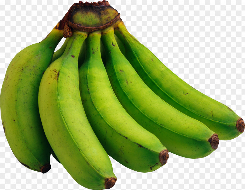 Green Bananas Image, Free Picture Cooking Banana Vegetarian Cuisine Fruit PNG