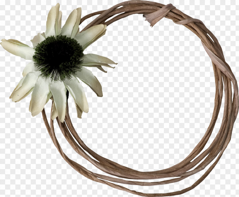 IDEA Flower PNG