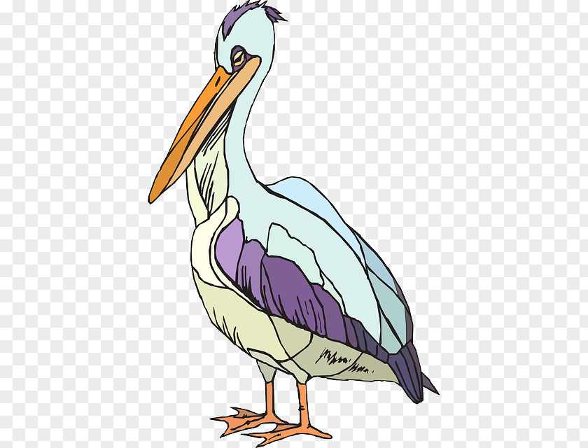 Pelican Clip Art PNG