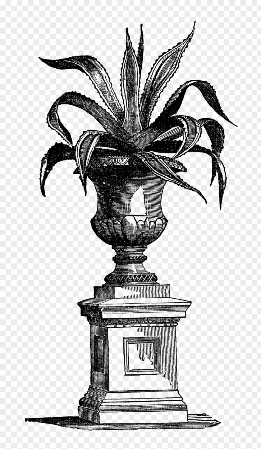 Potted Plants Houseplant Vase Garden PNG
