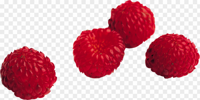 Rraspberry Image Red Raspberry Icon PNG