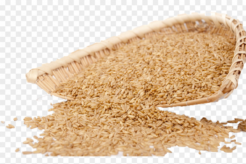 Yan Pearl Barley Image Oat Breakfast Cereal Rice PNG