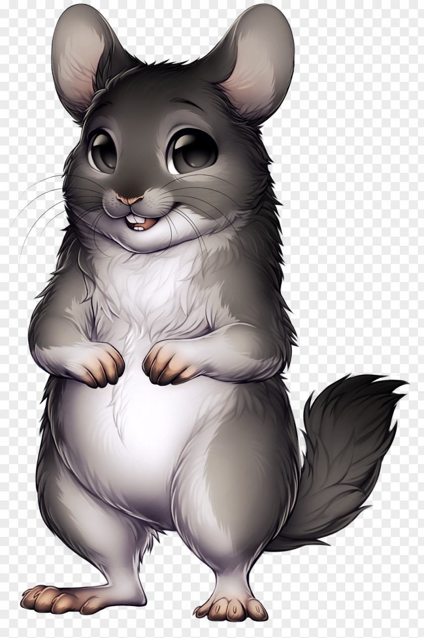 Chinchilla Rodent Mouse Whiskers PNG