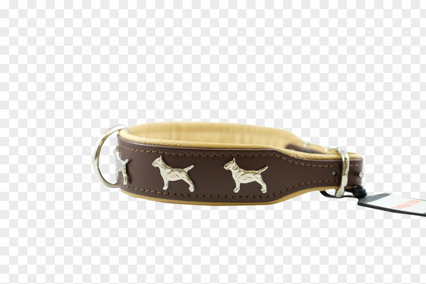 Dog Leash Collar PNG