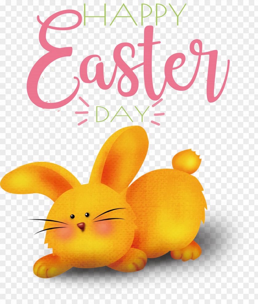 Easter Bunny PNG