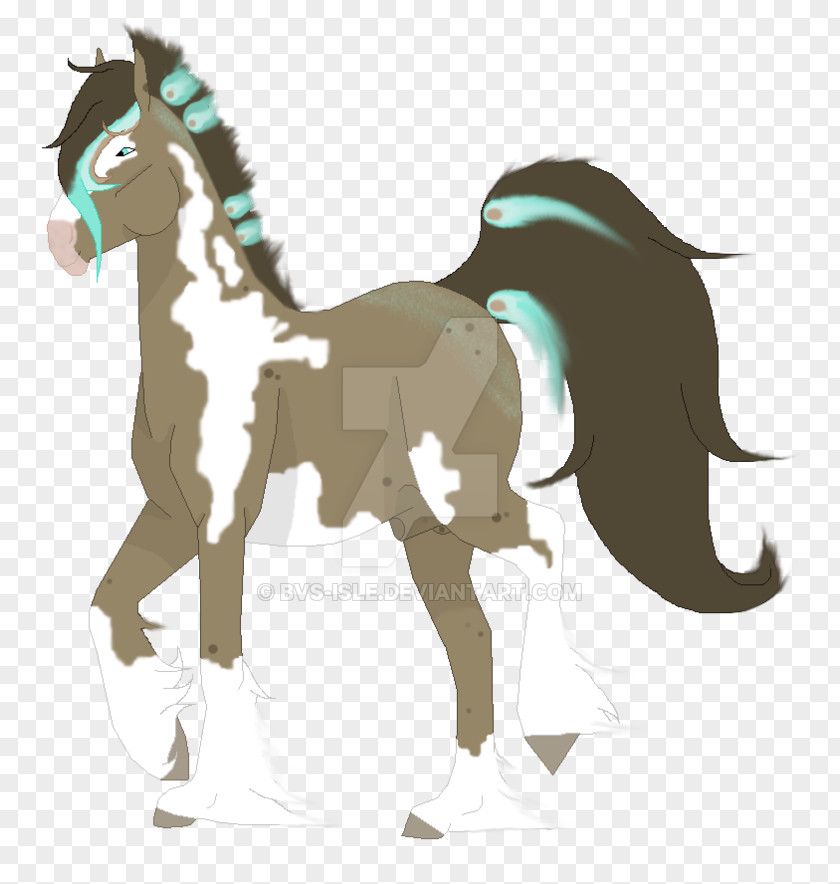 Mustang Pony Foal Stallion Colt PNG