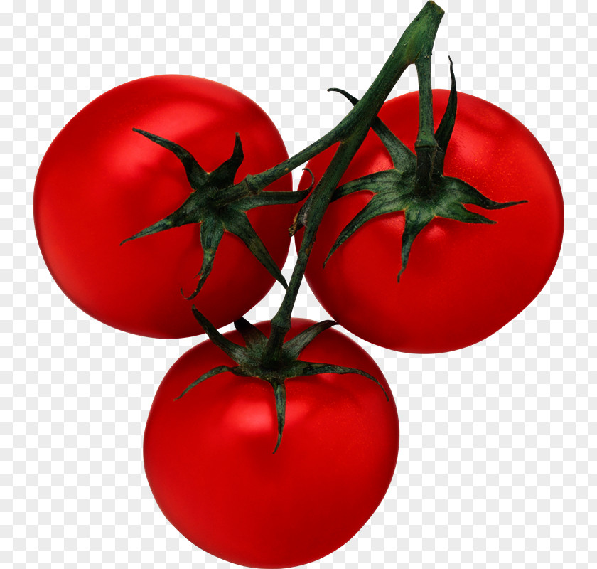 Vegetable Cherry Tomato Cucumber Clip Art PNG