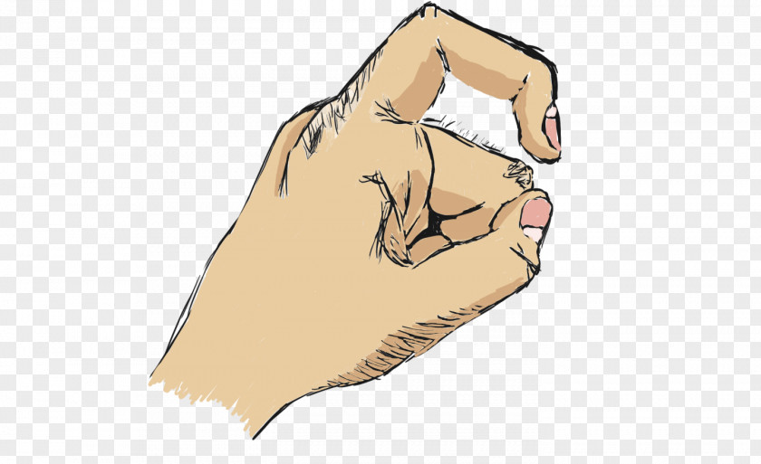Cat Canidae Thumb Dog Paw PNG