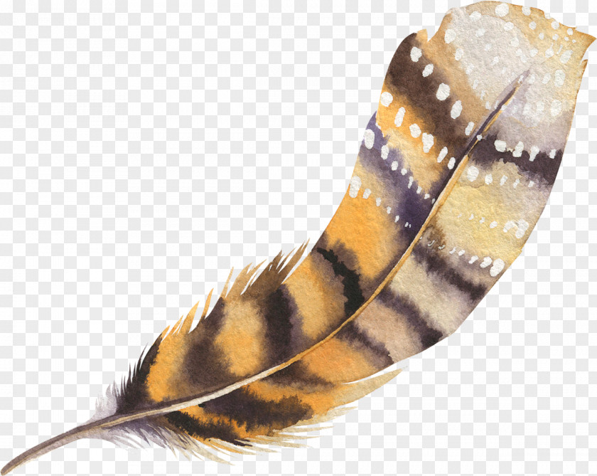 Feather The Floating Download PNG