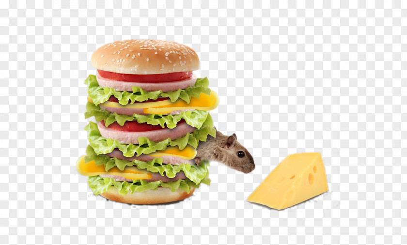 Mouse Eating Cheese Riddle Mind Situation Puzzle Agility Game PNG