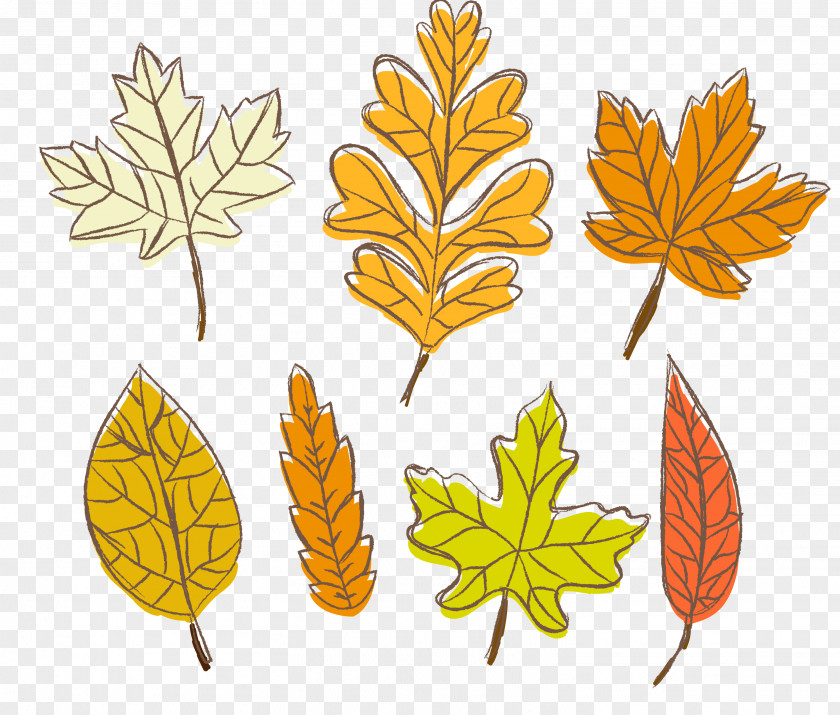 Painted Yellow Autumn Leaves Leaf PNG