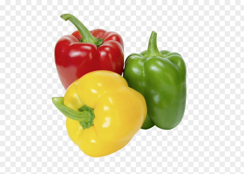Pimenton Paprika Bell Pepper Peppers Pimiento Food Fajita PNG