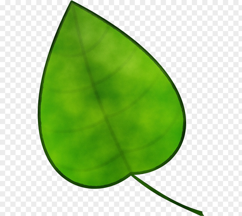 Symbol Plant Green Leaf Watercolor PNG