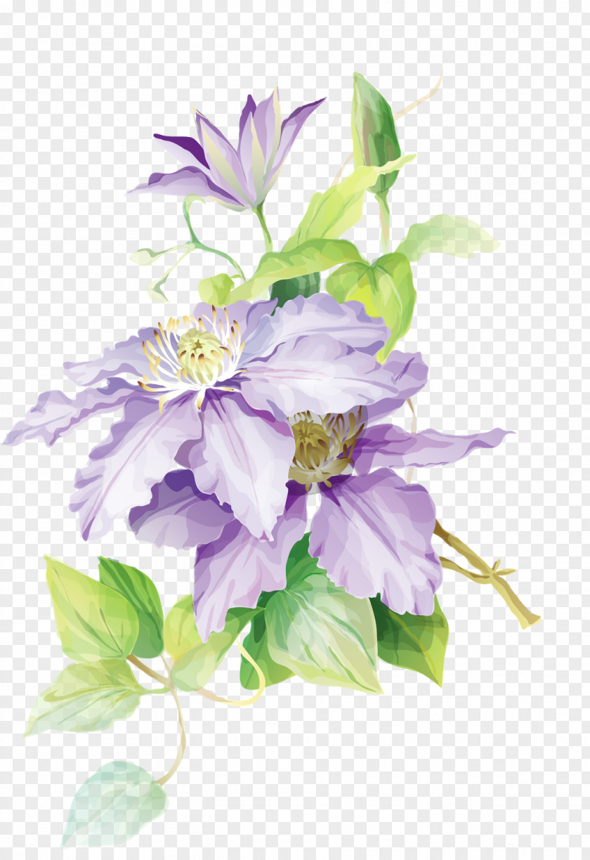 Watercolour Flower Watercolor Painting Drawing PNG