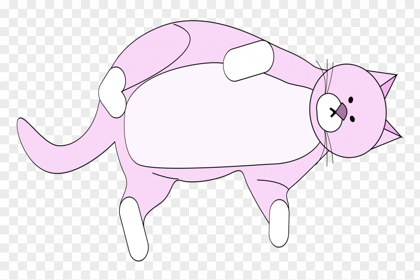 Cat Small Snout Whiskers Cartoon PNG