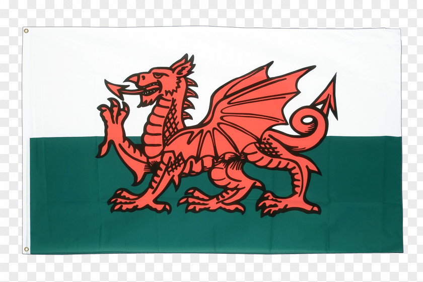 Flag Of Wales Welsh Dragon National Football Team Manager PNG