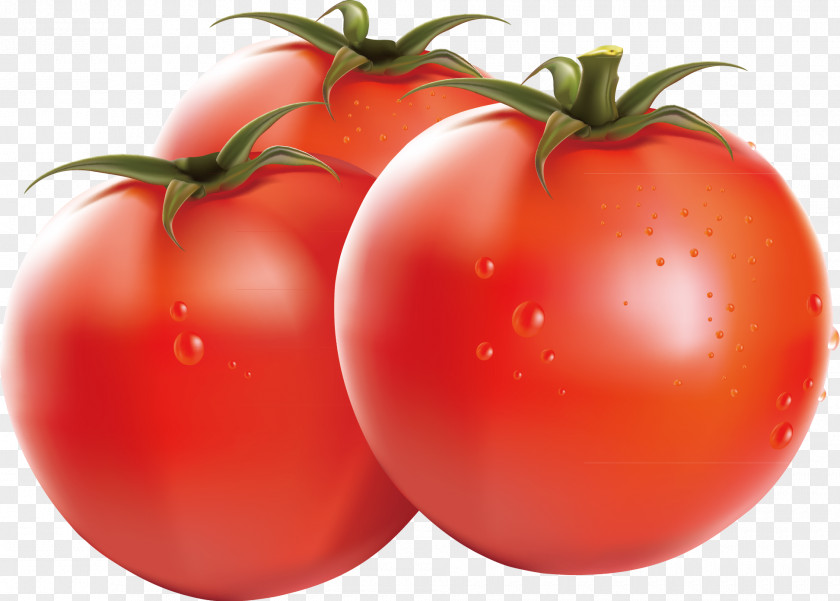 Healthy Food Freckle Cherry Tomato Vegetable Sauce PNG