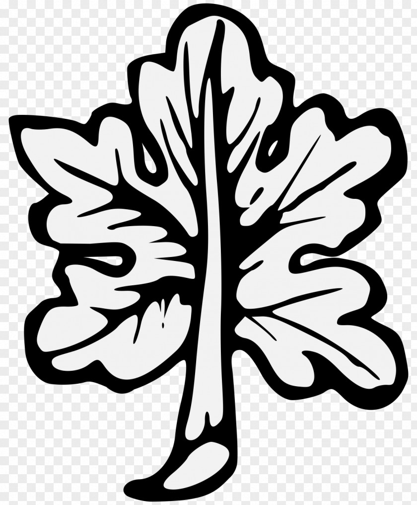 Leaf A Display Of Heraldrie The Principles Design Common Fig Fiddle-leaf Clip Art PNG