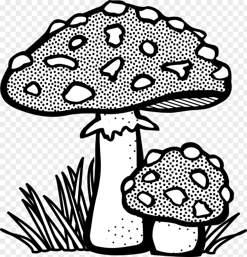Mushroom Drawing Line Art Fungus Clip PNG