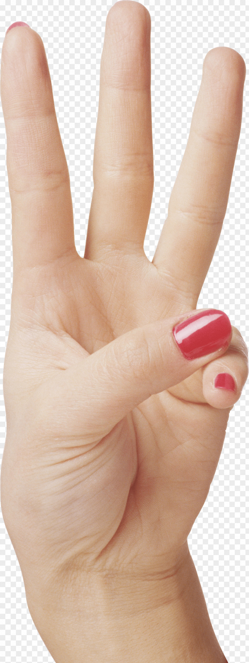 Nail Digit Clip Art PNG