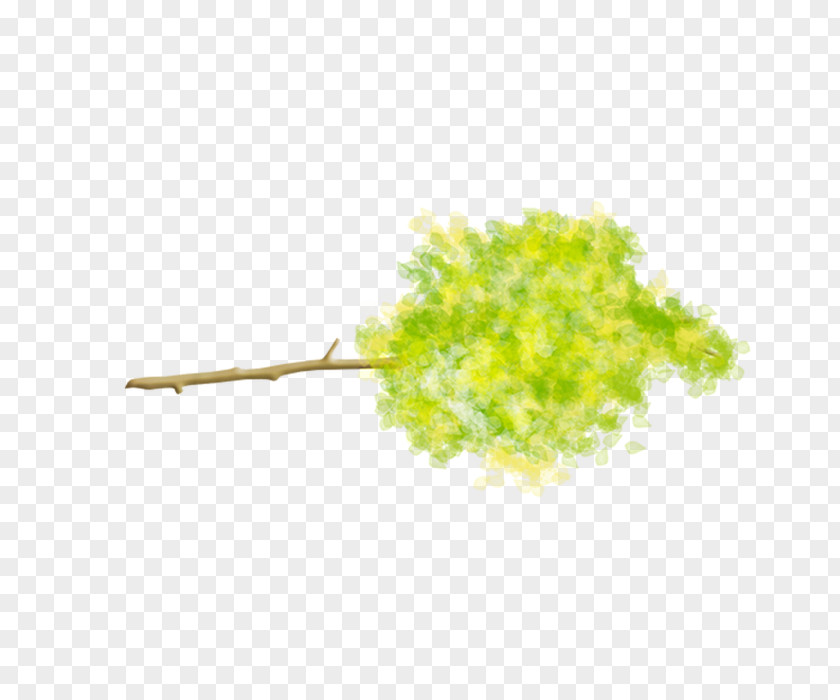 Tree Twig Poster PNG