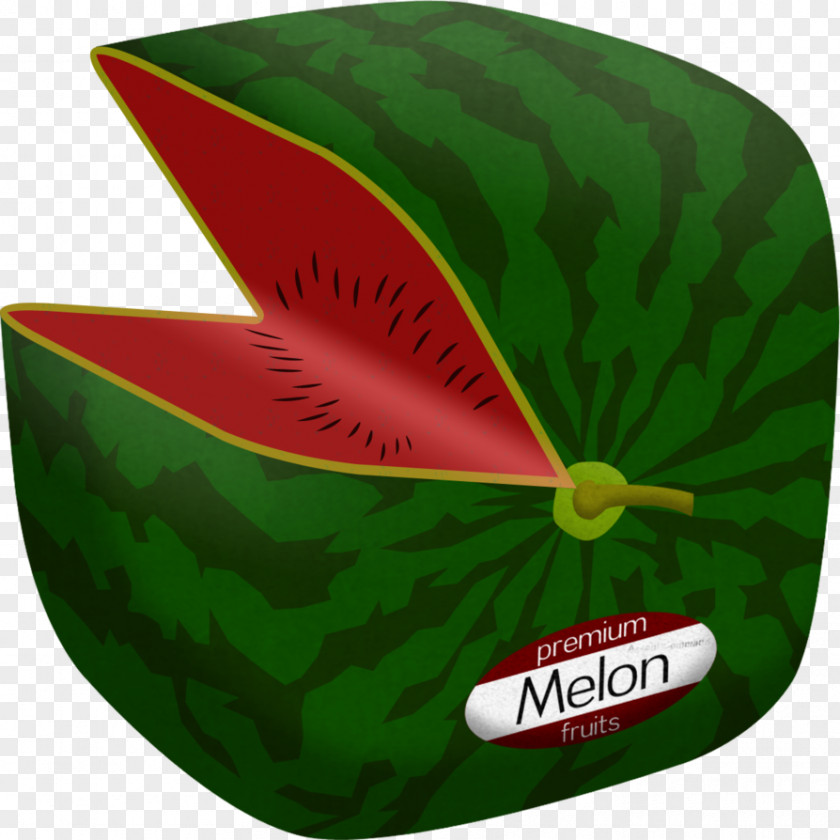 Watermelon Green Leaf PNG