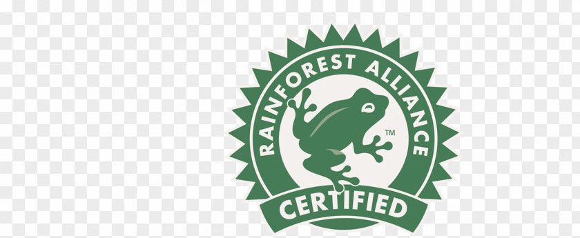 Beans Vector Rainforest Alliance Sustainability Forest Stewardship Council Organization Resort PNG
