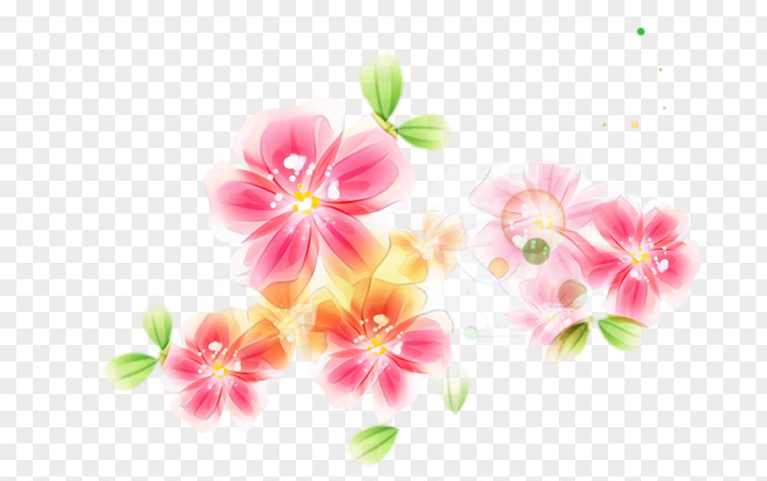 Blossom Mallows ST.AU.150 MIN.V.UNC.NR AD Floral Design Desktop Wallpaper PNG