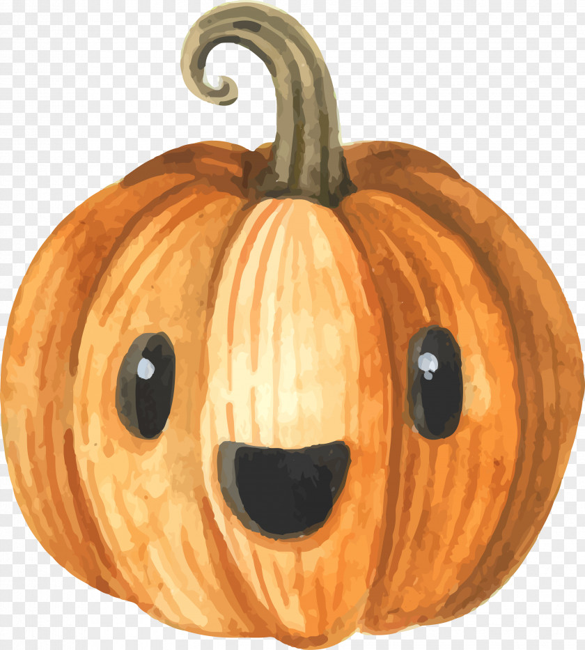 Cartoon Cute Pumpkin Jack-o'-lantern Calabaza Halloween Costume PNG
