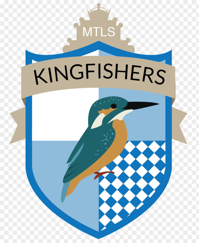 Kingfisher Logo Beak Brand Clip Art PNG