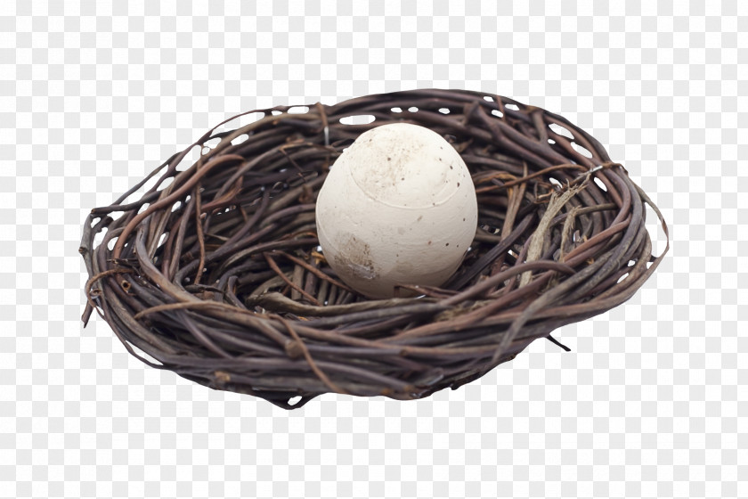 Nest Bird Easter Egg PNG