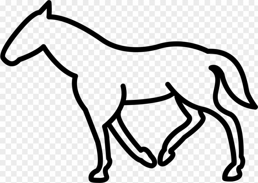 Tennessee Walking Horse Free Jumping Clip Art PNG