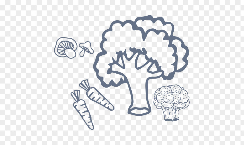 Vegetable Broccoli Coloring Book Fruit Child PNG