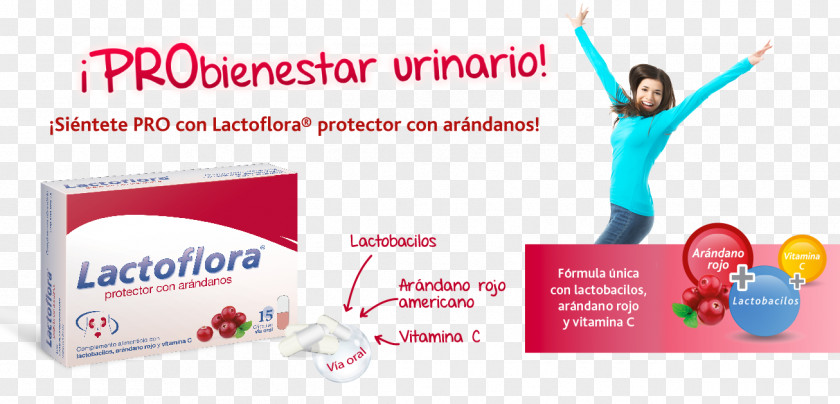 Arandanos Probiotic Skin Prebiotic Online Advertising Health PNG