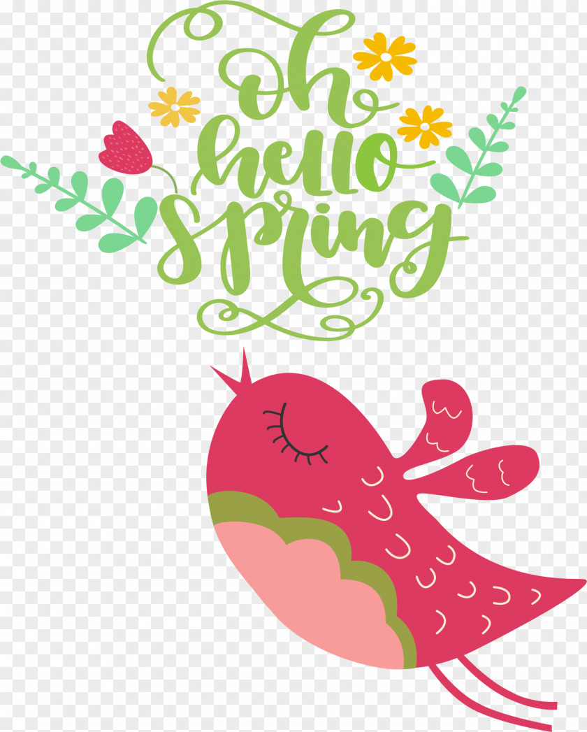 Birds Cuteness Parrots Owls Cartoon PNG