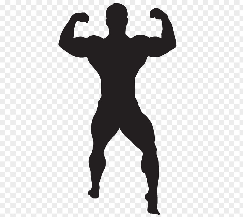 Bodybuilding Clip Art Exercise PNG