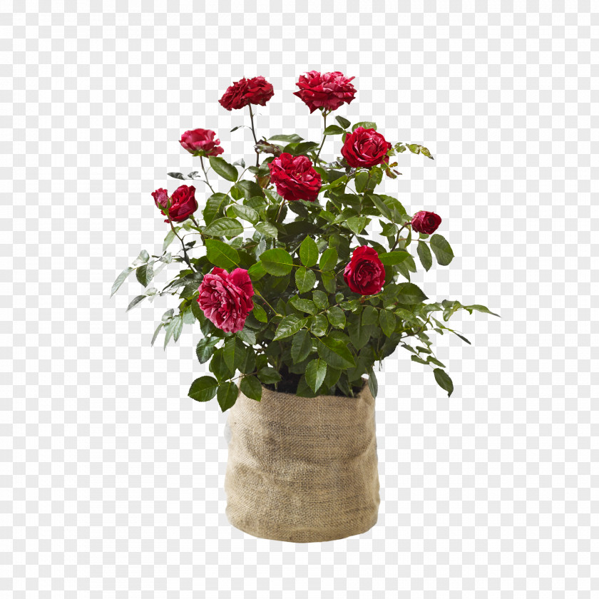 Flower Garden Roses Cut Flowers Artificial Flowerpot Floral Design PNG
