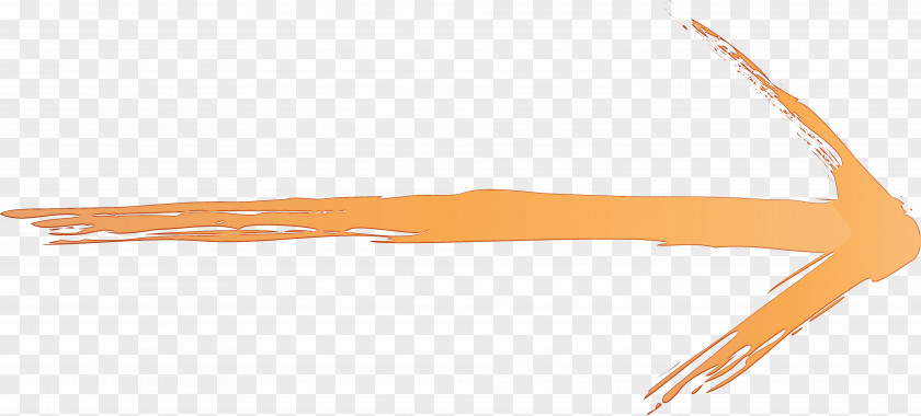 Orange PNG