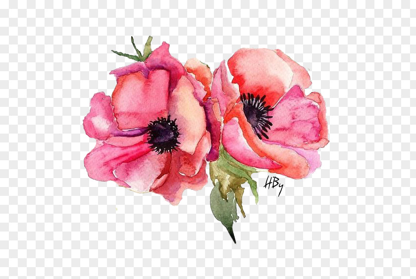 Painting Watercolor Stock Photography Poppy PNG