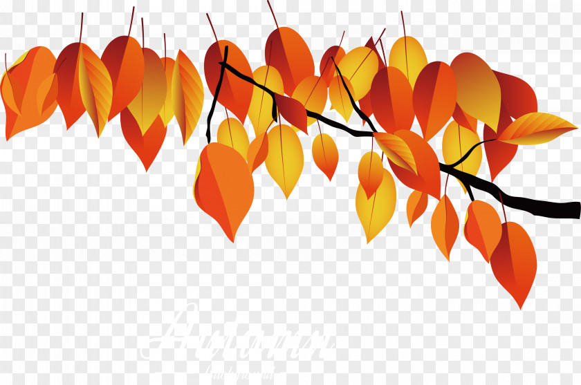 Red Autumn Leaves Maple Leaf PNG