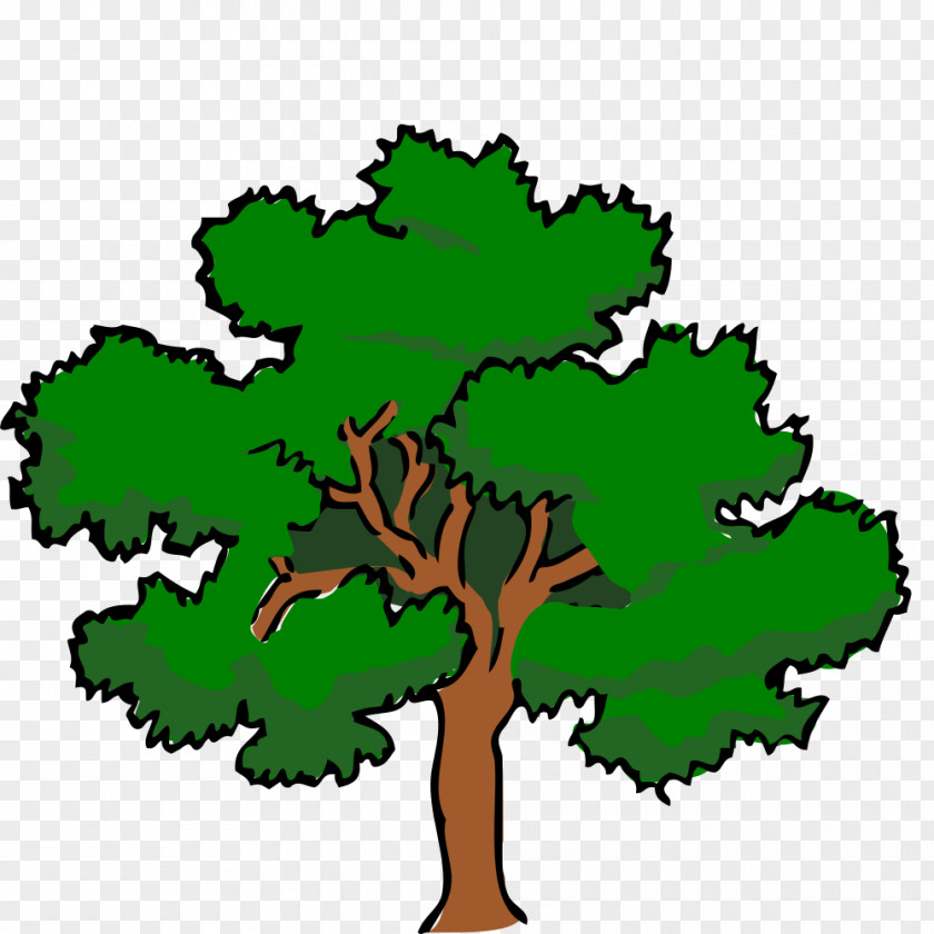 Tree Clip Art Vector Graphics Southern Live Oak PNG