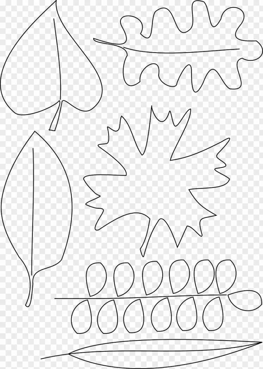 Willow Leaves Autumn Leaf Color Coloring Book Drawing PNG