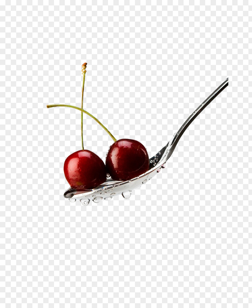 Cherry Prunus Tomentosa Vitamin PNG