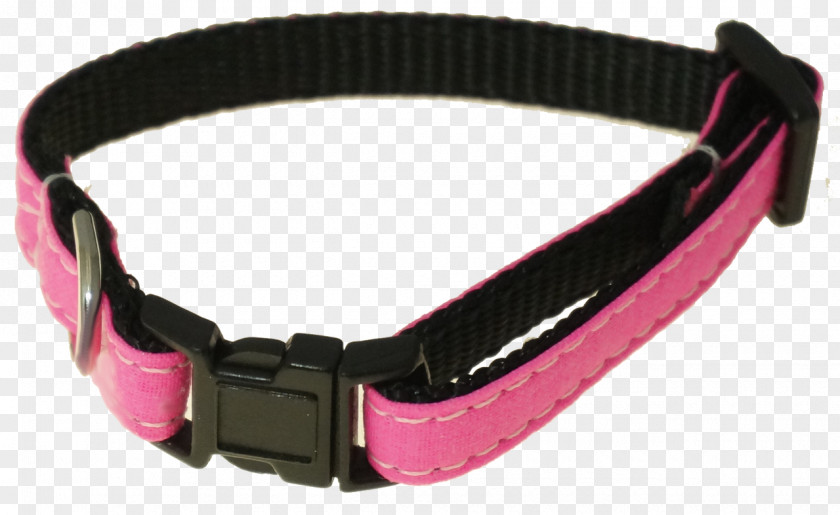 Dog Collar Leash Pet PNG