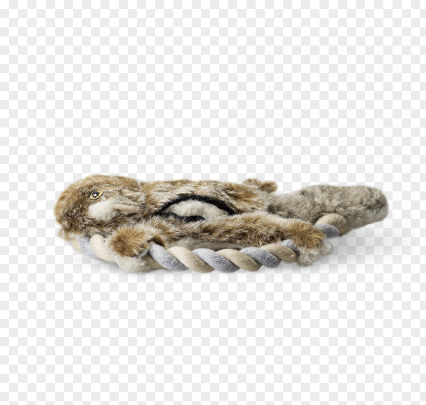 Dog Toys Food PNG