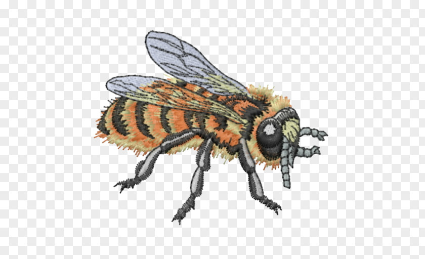 Bee Western Honey Insect Machine Embroidery PNG