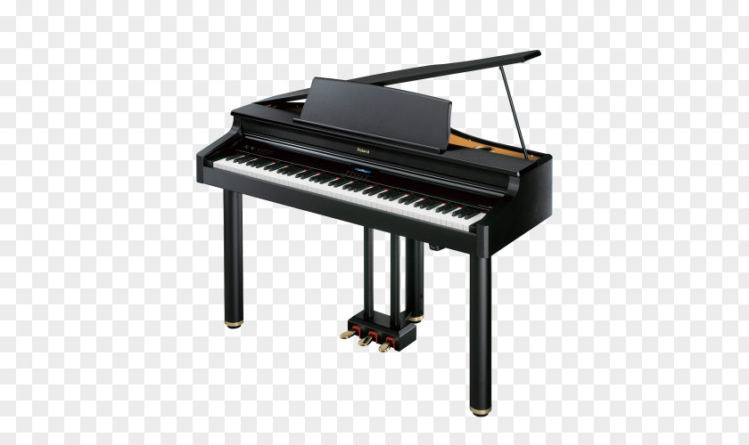 Bl Boss DS-1 Roland Corporation Digital Piano Grand PNG