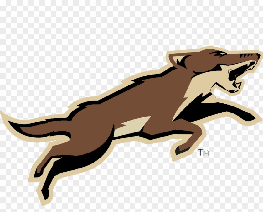 Concept Sports 2015–16 Arizona Coyotes Season 2014–15 NHL PNG
